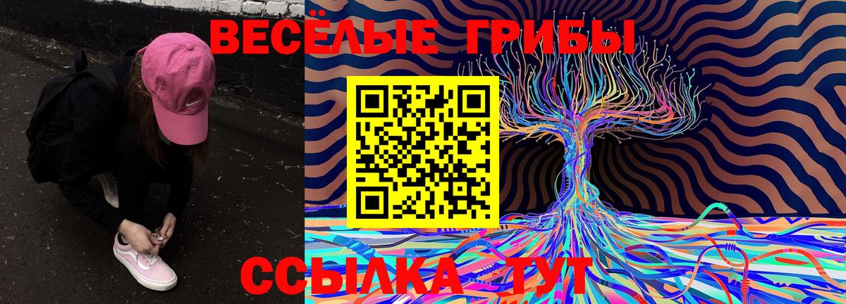 Псилоцибиновые грибы MAGIC MUSHROOMS  Вход с VPN  сколько стоит  Псилоцибиновые грибы MAGIC MUSHROOMS  Зерноград 