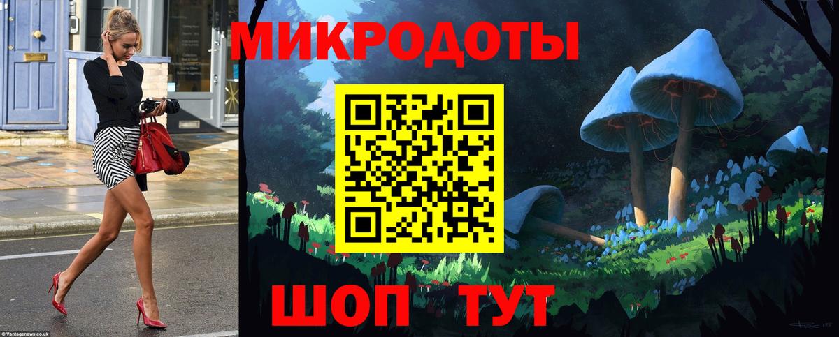 Псилоцибиновые грибы мицелий Зерноград